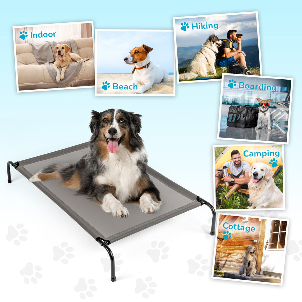 Nap Time – Comfy Beds for Happy Pets