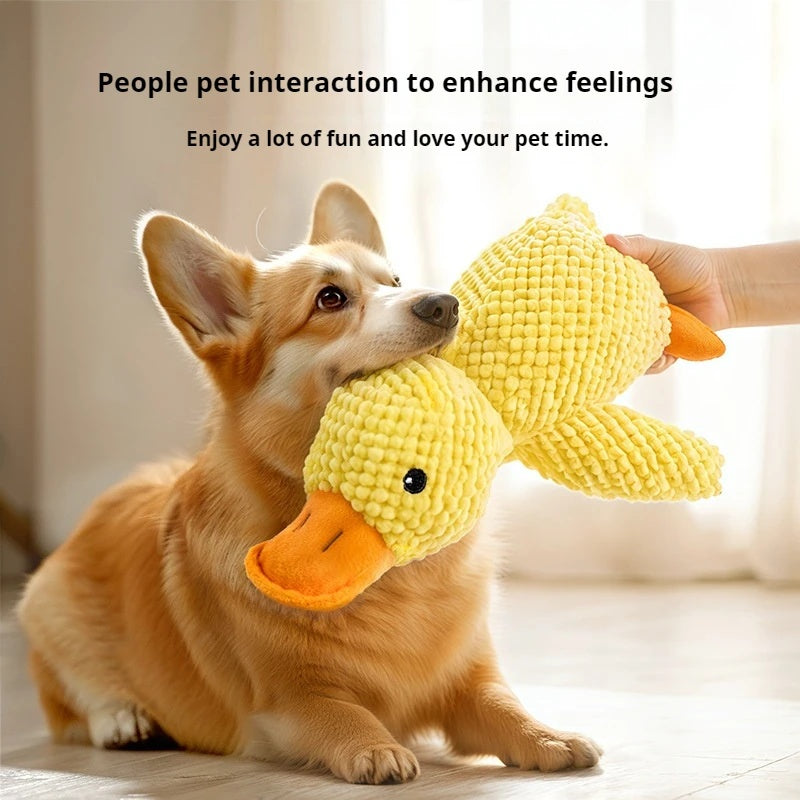 Ozi the Duck