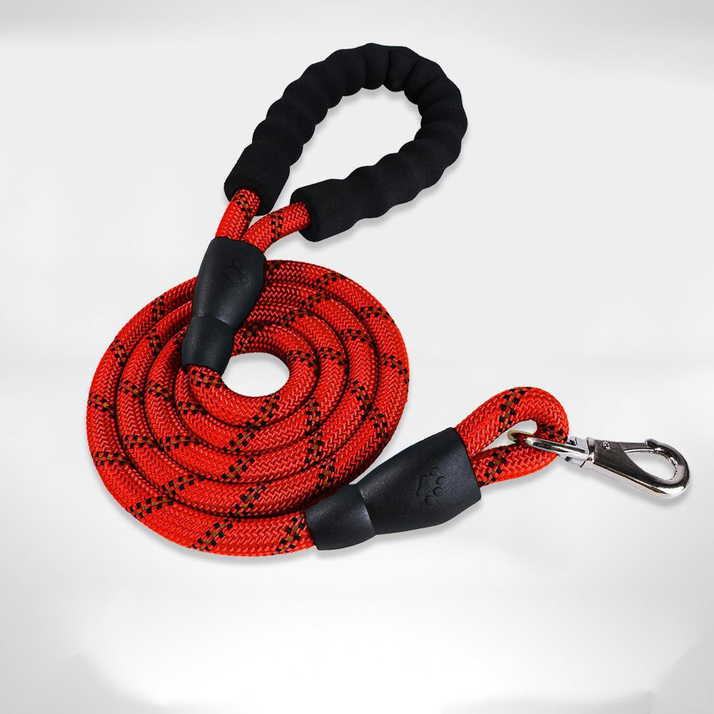 TailTag – Collar for Medium & Large Dogs
