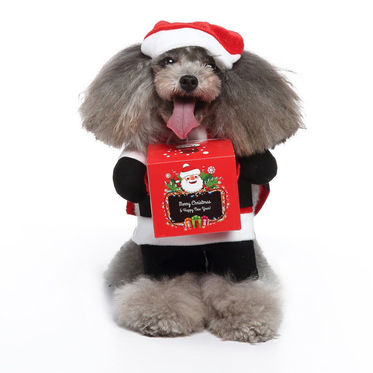 EuroPaws – Trendy Pet Outfits with Style