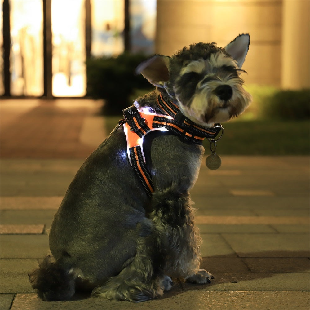 GlowPup – Light-Up Collar for Safe Walks