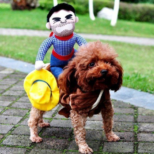 PupWear – Cute & Cozy Outfits for Dogs