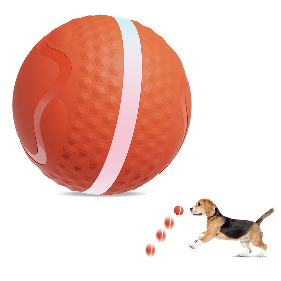 ZapBall – Electric Toy for Energetic Dogs