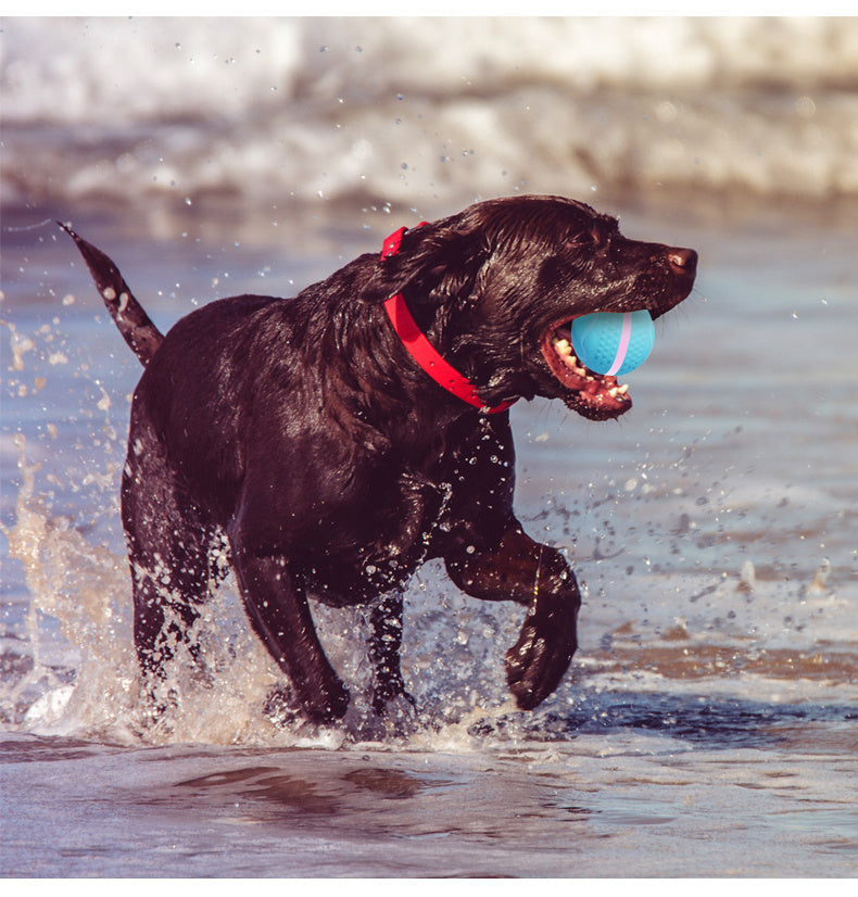 ZapBall – Electric Toy for Energetic Dogs