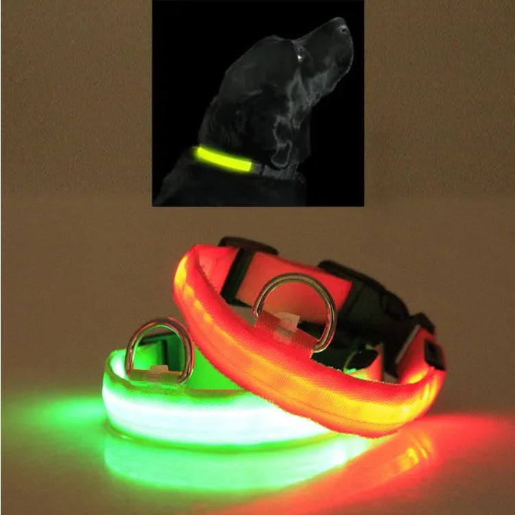 GlowCollar – LED Light for Safe Night Walks