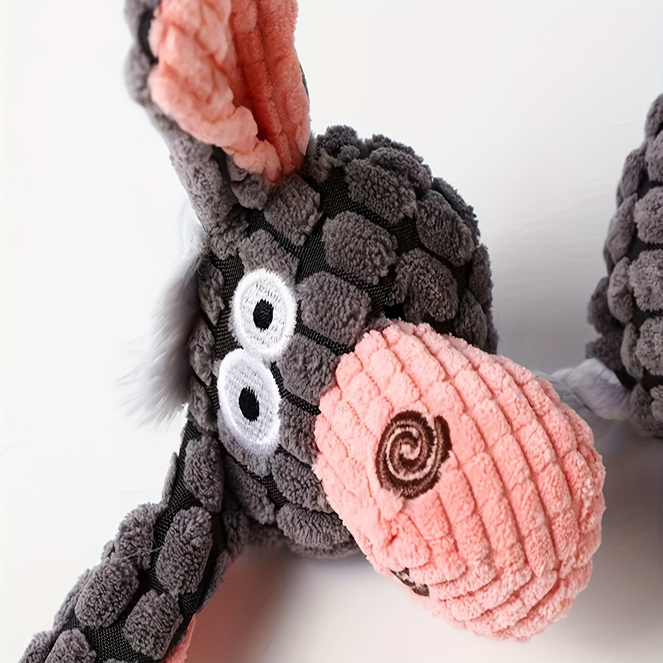 Franky the Donkey
