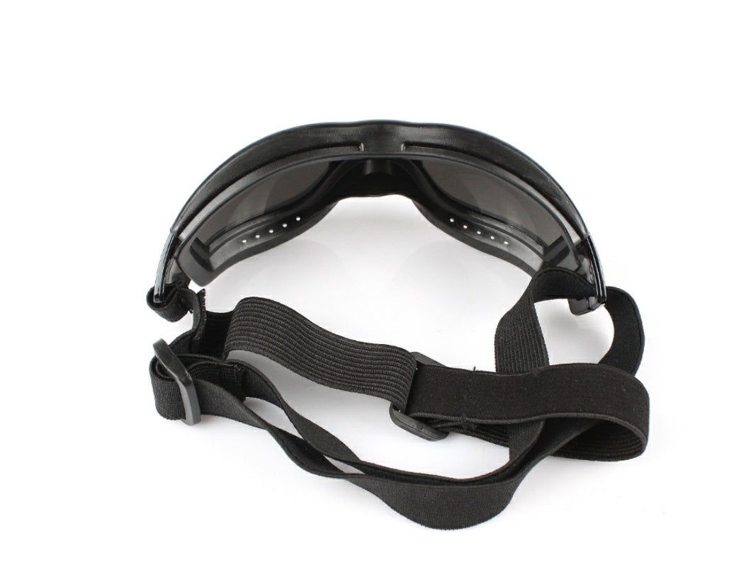 PawShades – UV Goggles for Cool Dogs