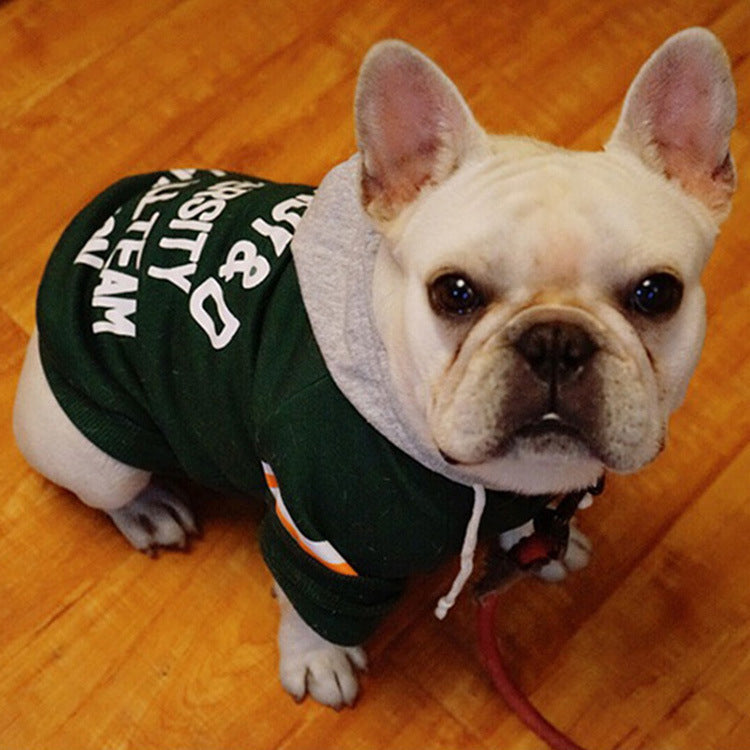 SnuggleKnit – Cozy Sweater for Pets