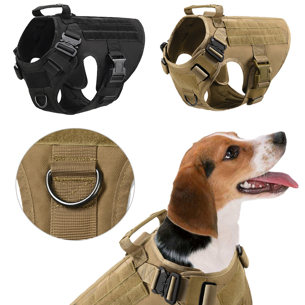 Military Tactical Dog