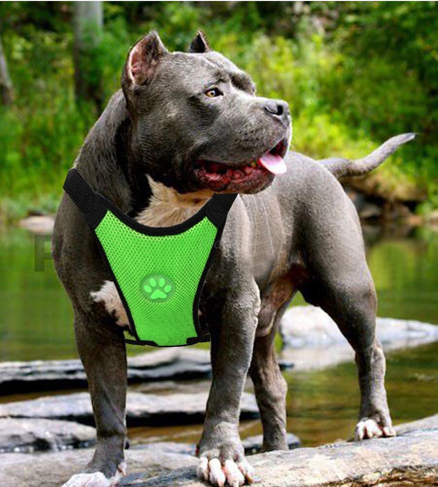 BreezeGuard – Mesh Harness for Safe Travels