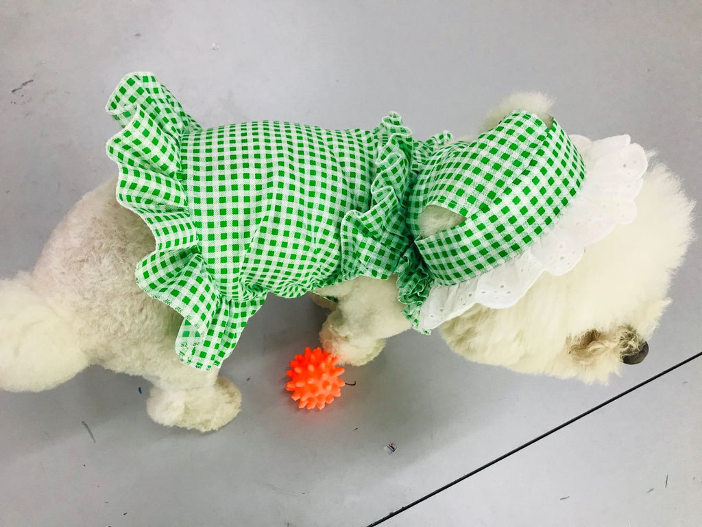 Creative Plaid Dog