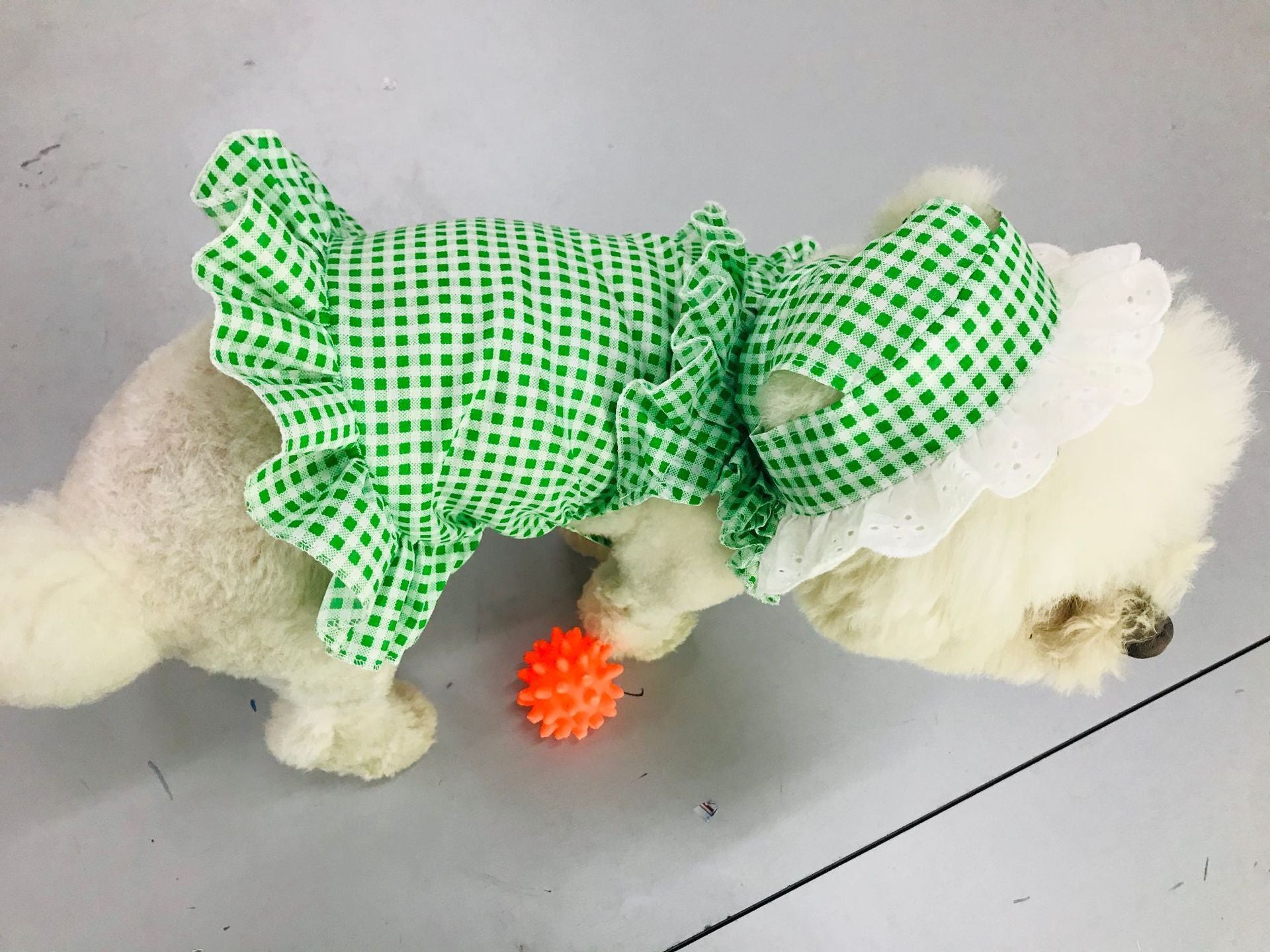 Creative Plaid Dog