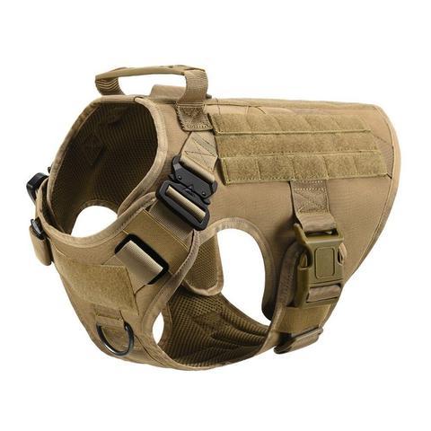 Military Tactical Dog