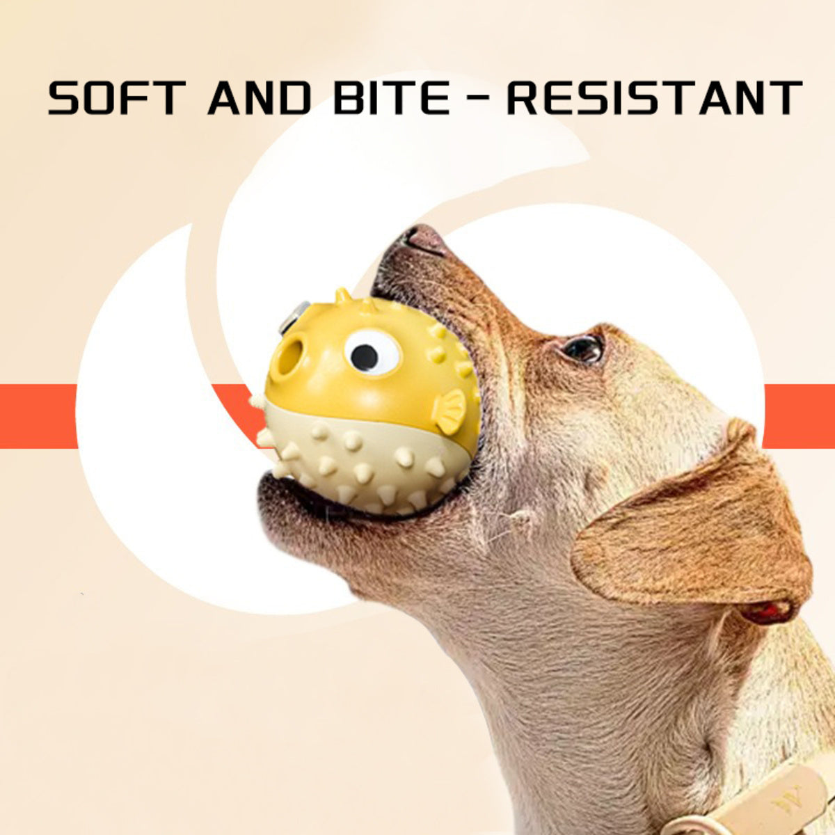 FIsh Squeaky