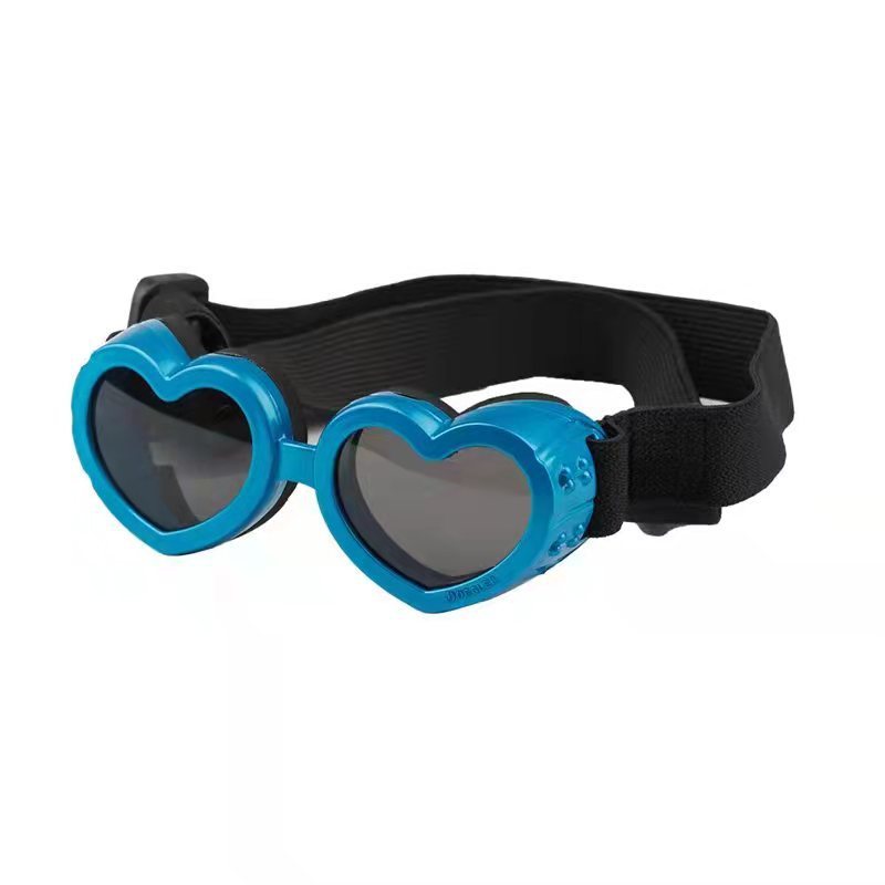 EyeGuard – Windproof Glasses for Pets