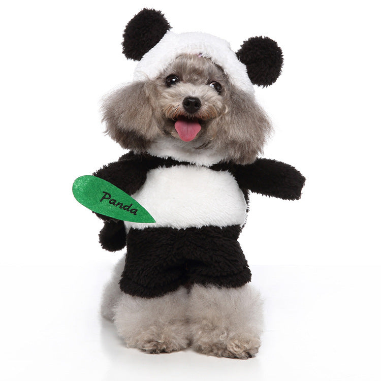 EuroPaws – Trendy Pet Outfits with Style