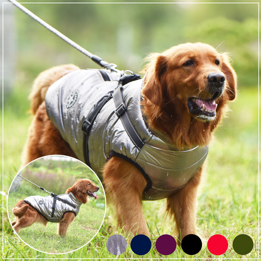 Winter Dog Coat