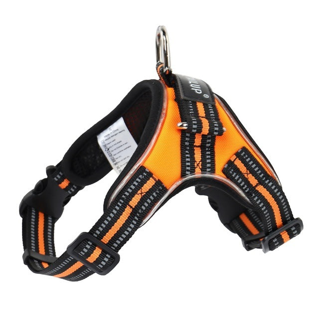 GlowPup – Light-Up Collar for Safe Walks
