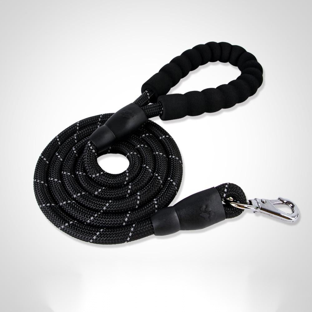 TailTag – Collar for Medium & Large Dogs