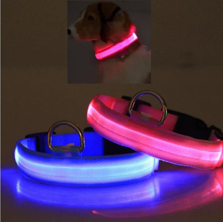 GlowCollar – LED Light for Safe Night Walks