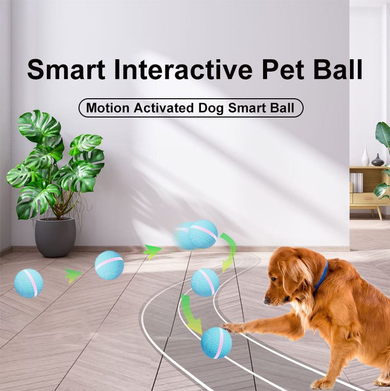 ZapBall – Electric Toy for Energetic Dogs