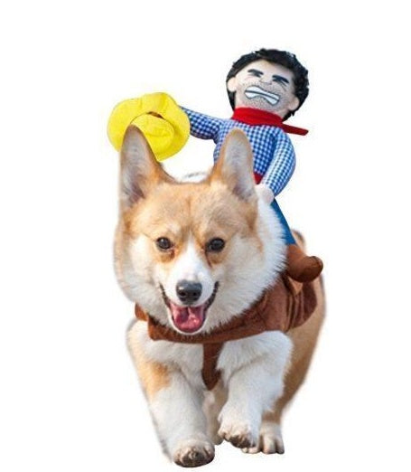 PupWear – Cute & Cozy Outfits for Dogs