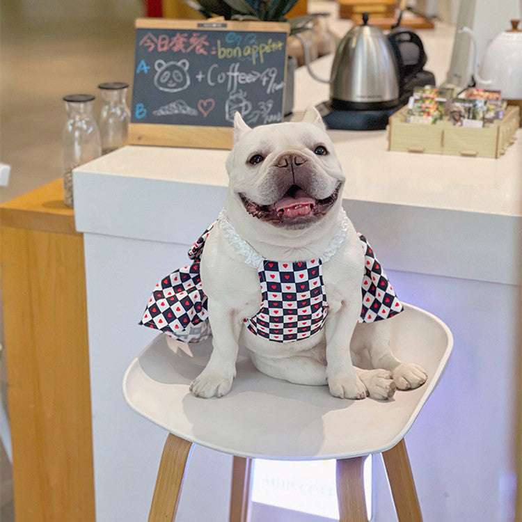 Bichon Chessboard
