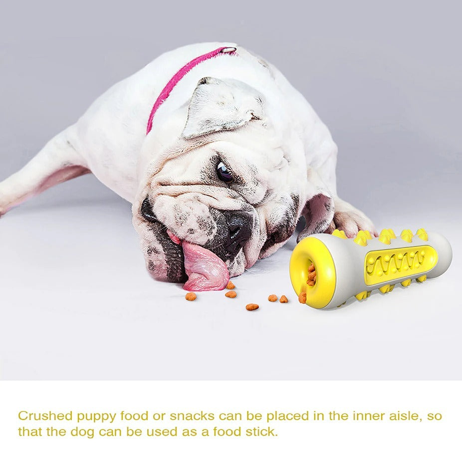 Tough Chew Buddy – Squeaky Toy