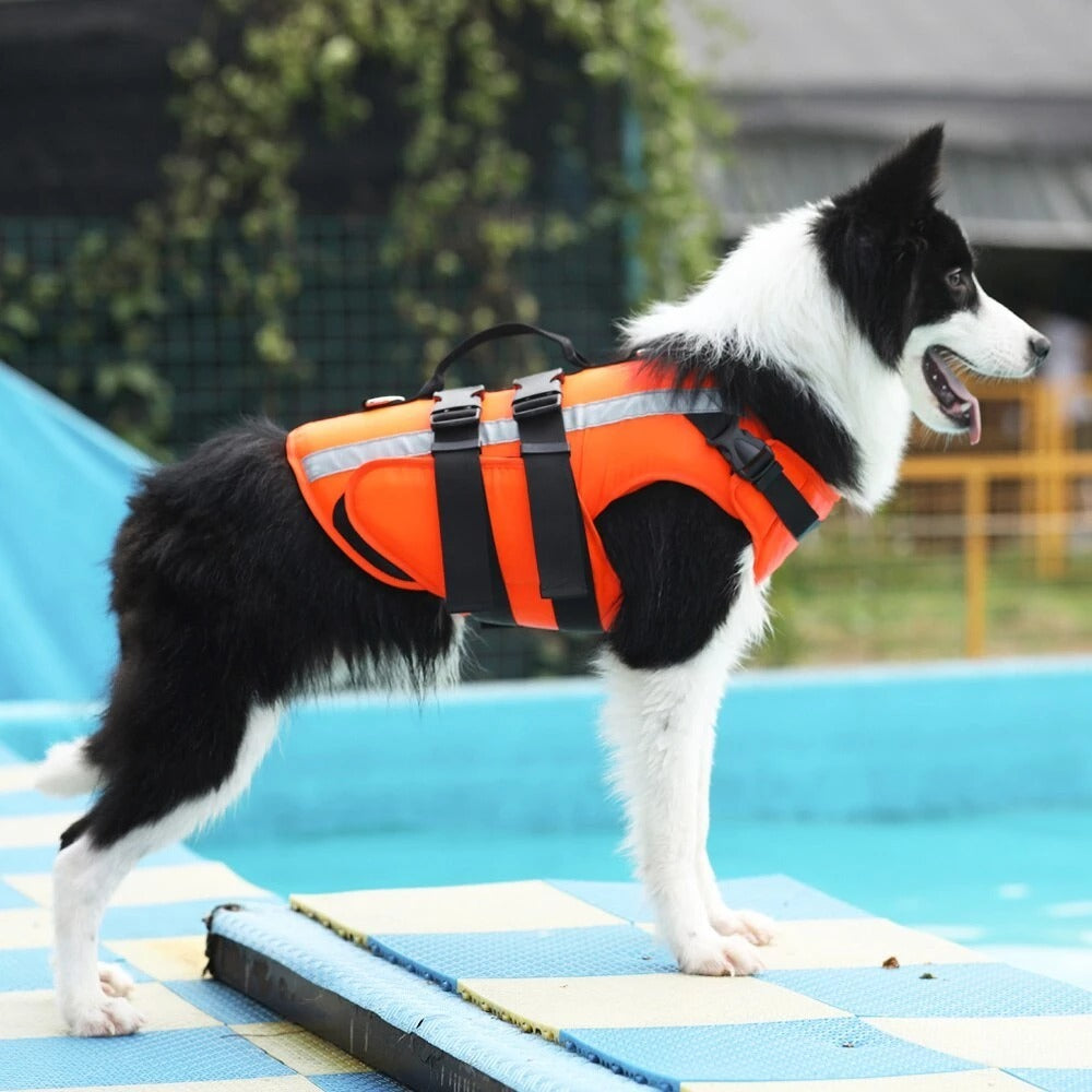 FloatPup – Reflective Life Vest for Dogs