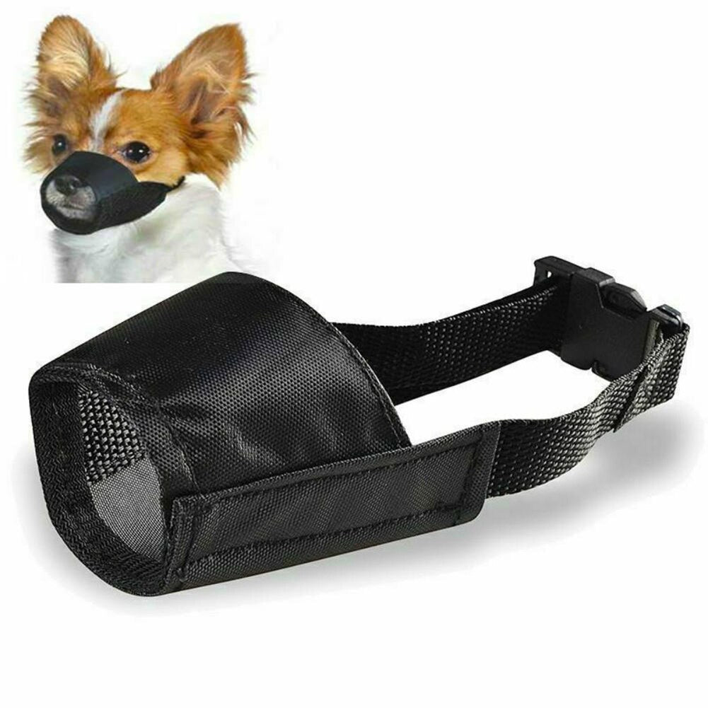 SnoutGuard – Comfy Muzzle for Calm Walks