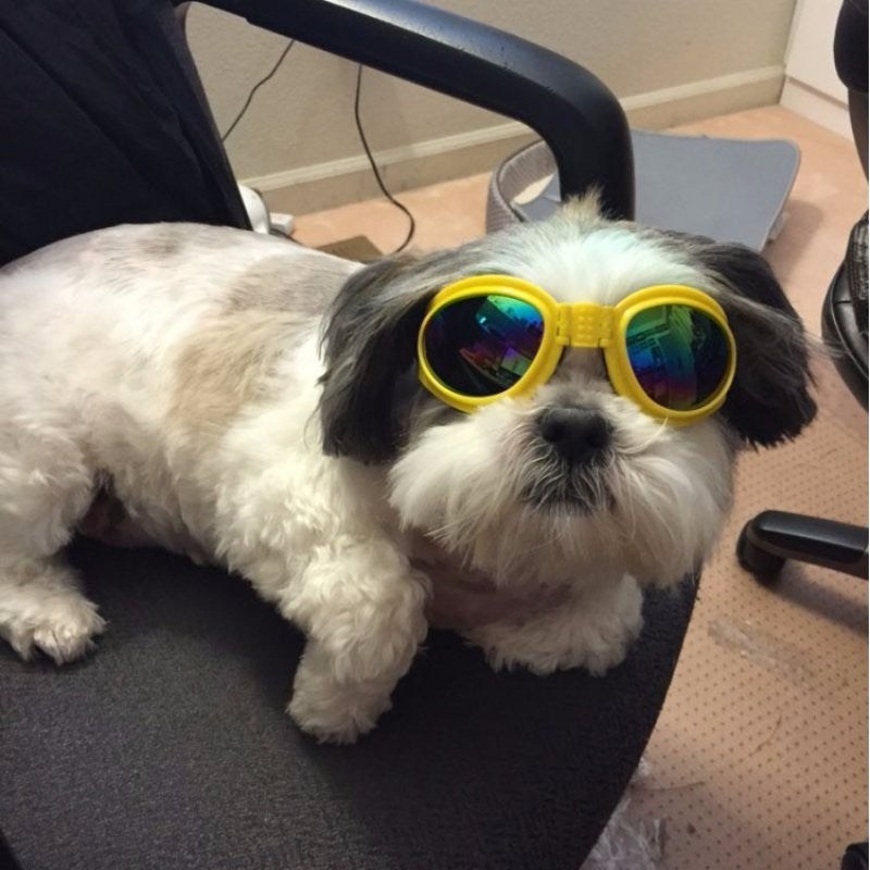 FoldiShades – UV Goggles