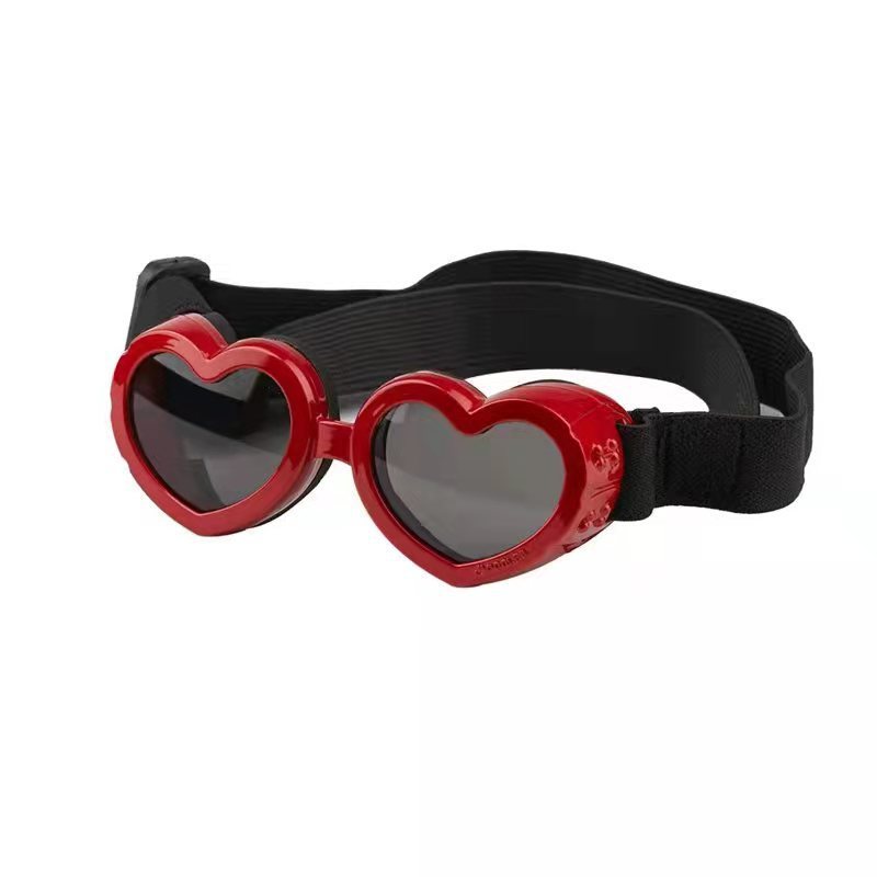 EyeGuard – Windproof Glasses for Pets