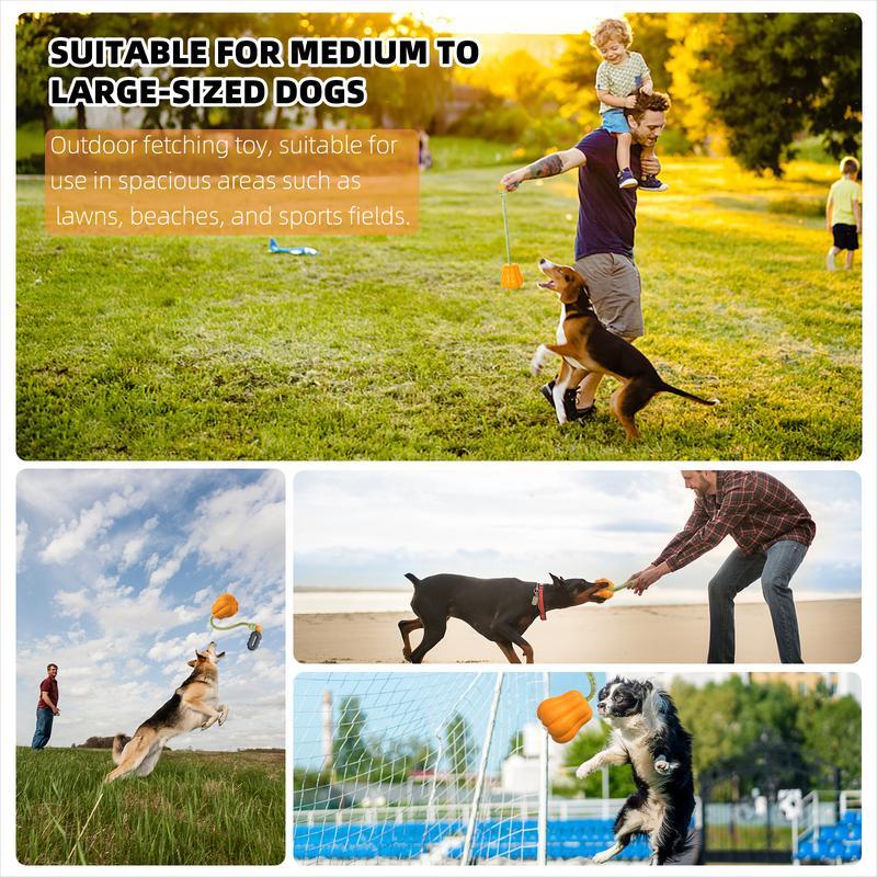 Pumpkin Dog Rope Fetch Exercise