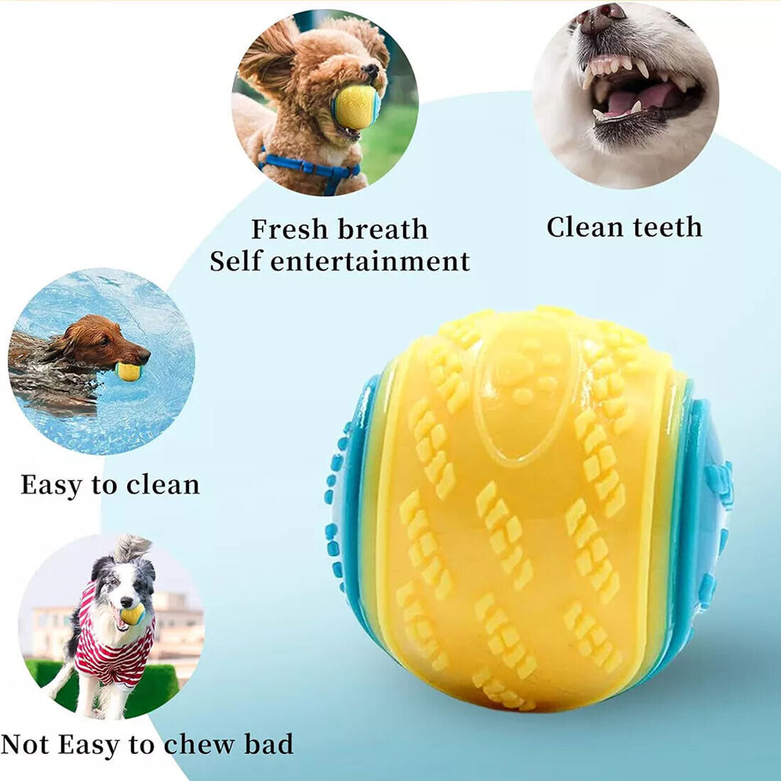 Scooby-Doo Squeaky Ball