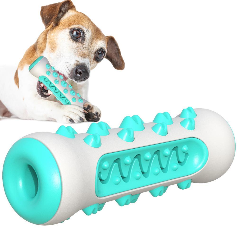 Tough Chew Buddy – Squeaky Toy