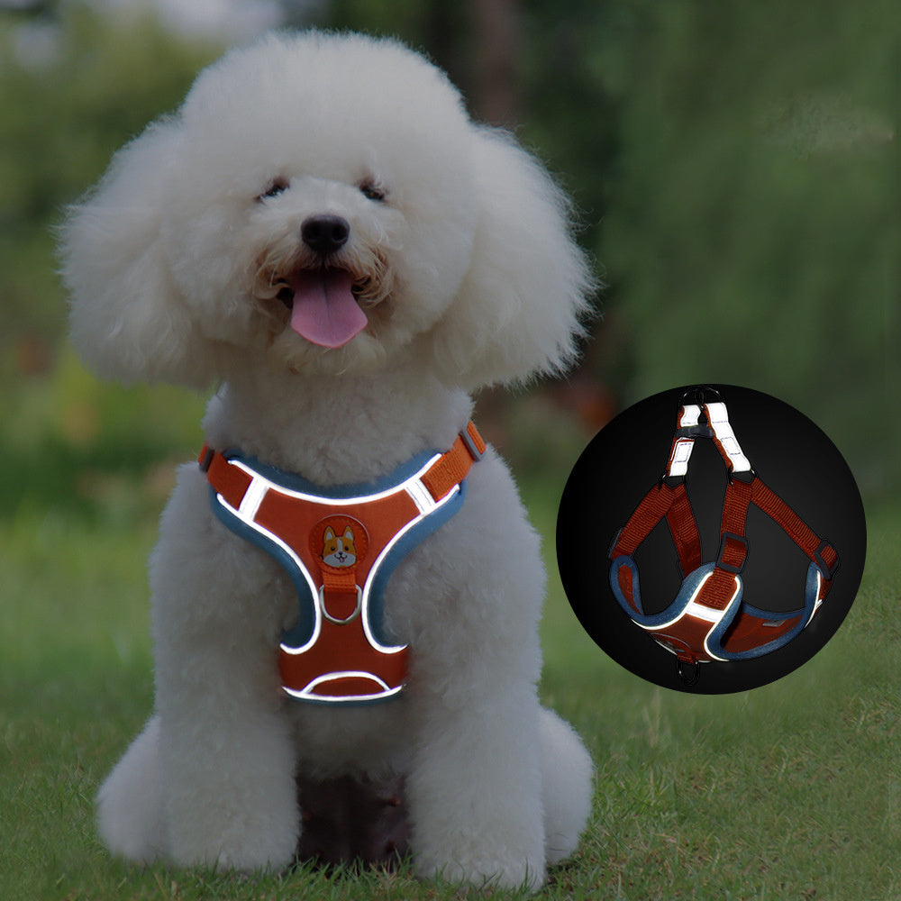 Pet Dog Harness And Leash