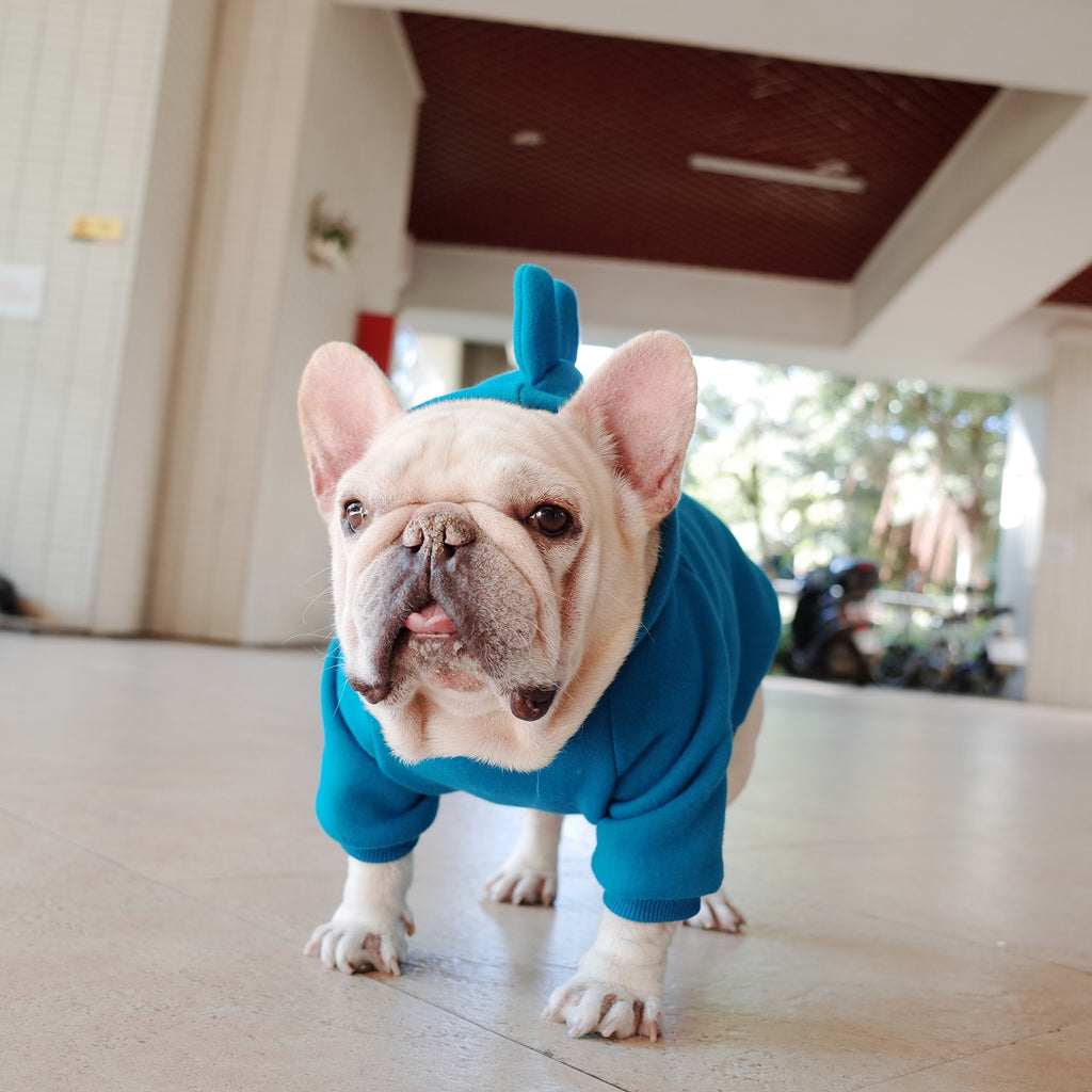 SnugPaws – Fleece Hoodie for Cozy Pets