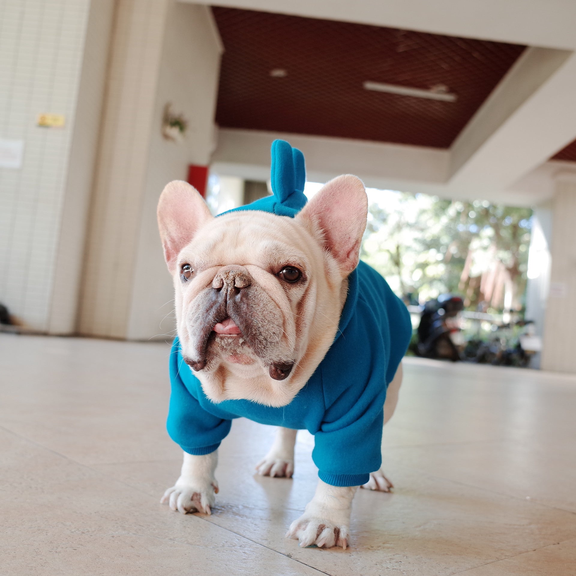 SnugPaws – Fleece Hoodie for Cozy Pets