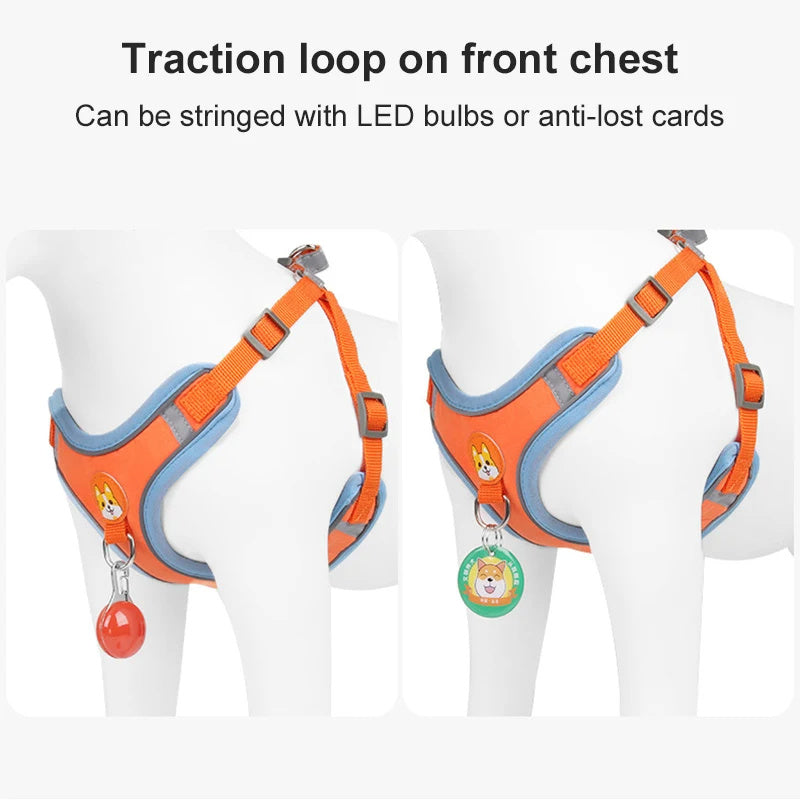 Pet Dog Harness And Leash