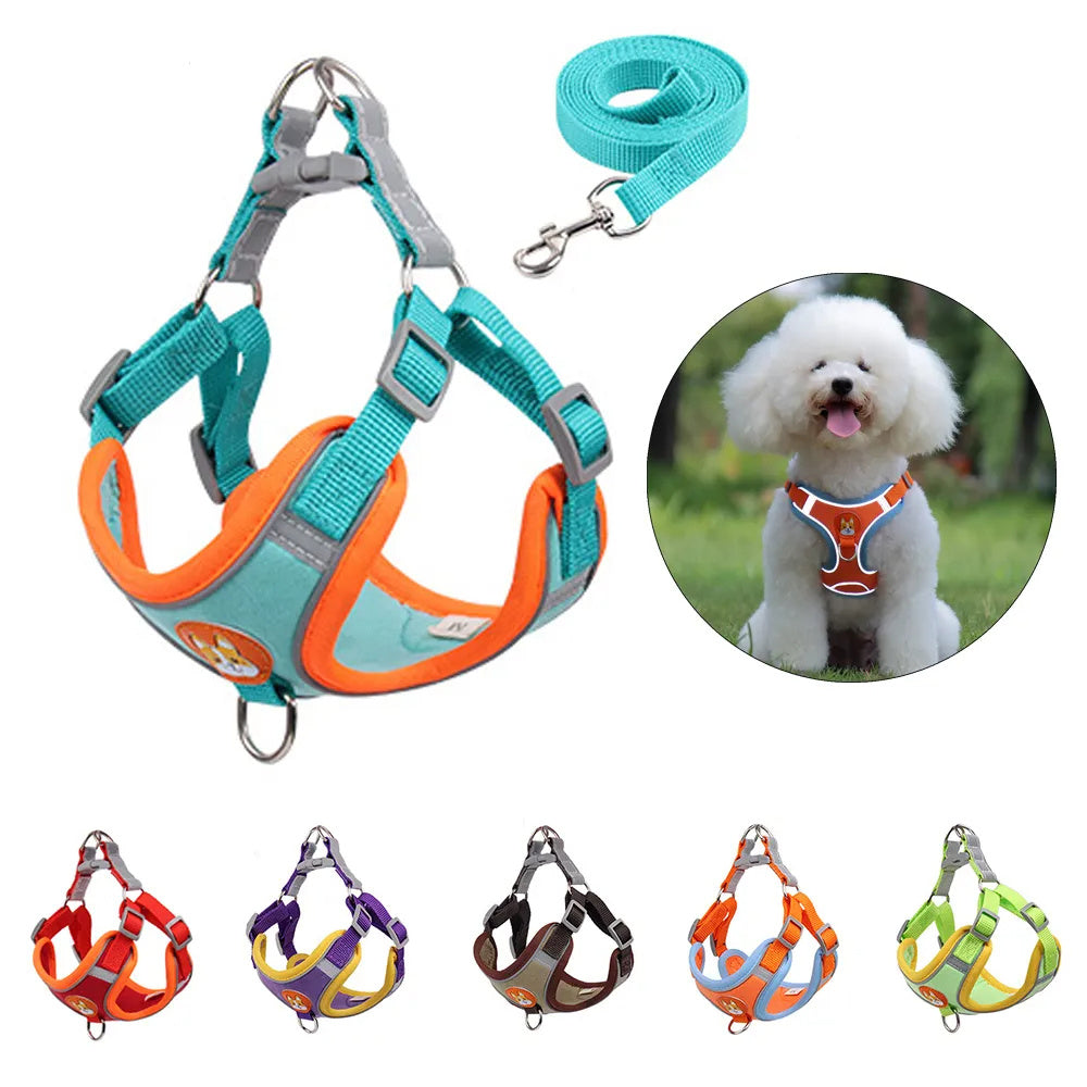 Pet Dog Harness And Leash