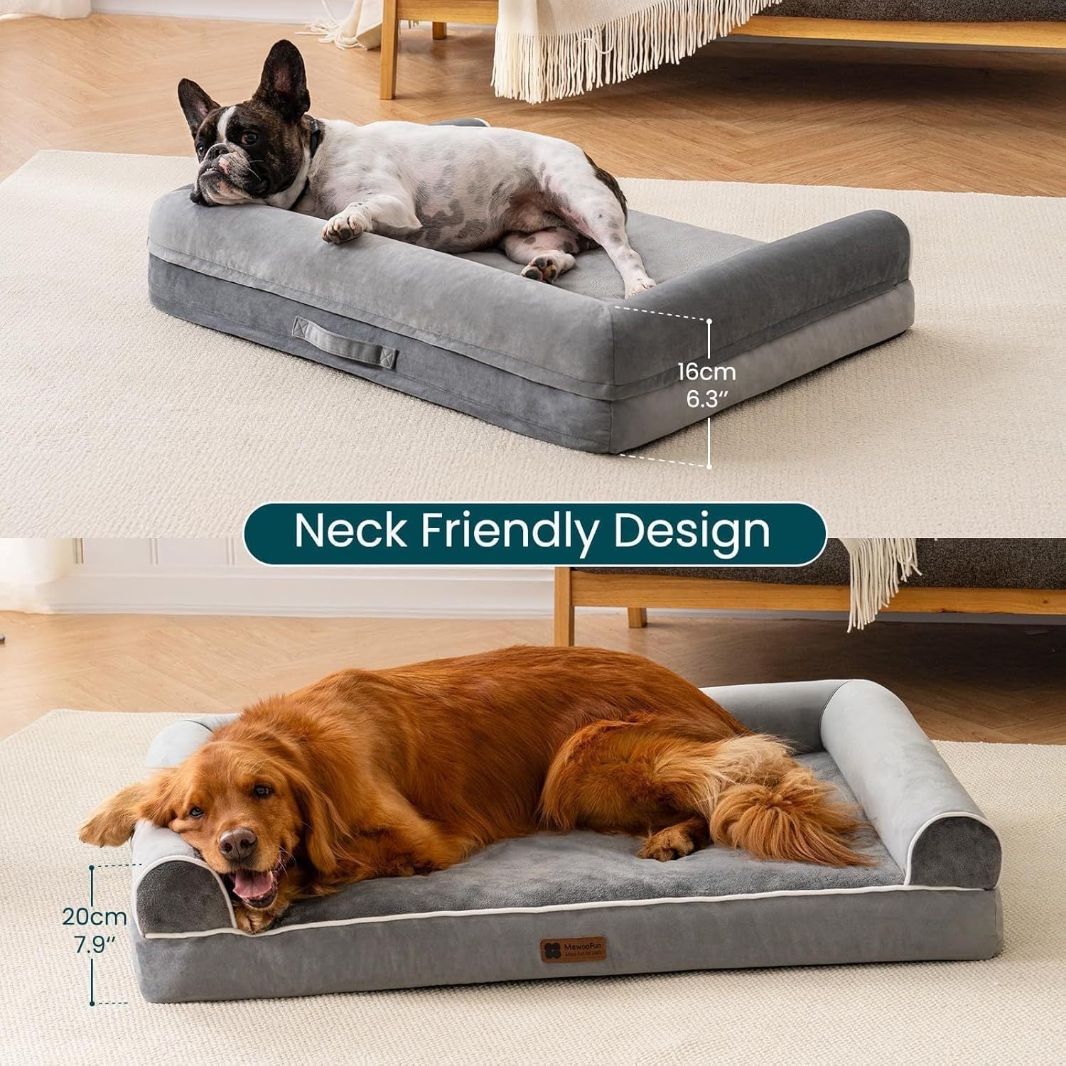 EggFoam Haven – Orthopedic Bed