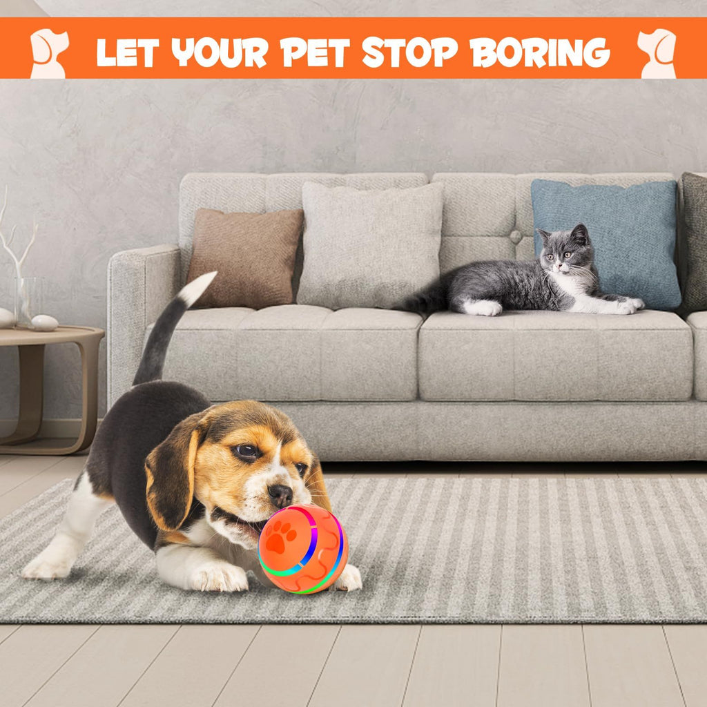 BallyZap – Interactive Electric Ball for Dogs