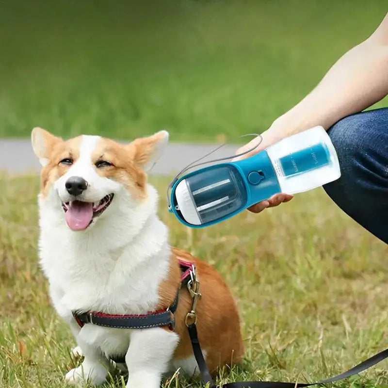 Dog Cup