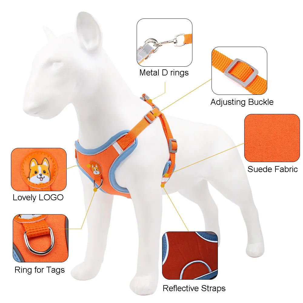 Pet Dog Harness And Leash