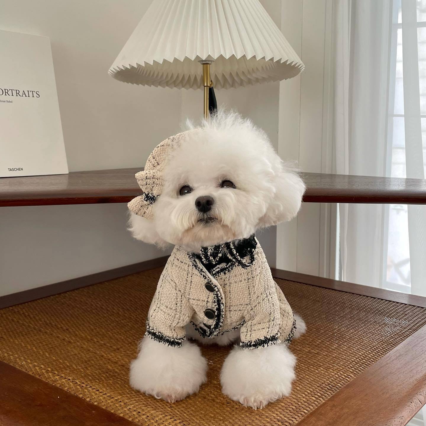 Pet Dog Clothing Princess Skirt