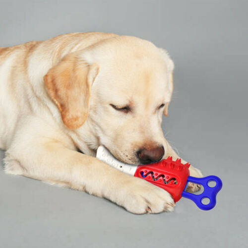Rubber Molar Stick