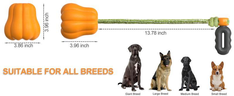 Pumpkin Dog Rope Fetch Exercise