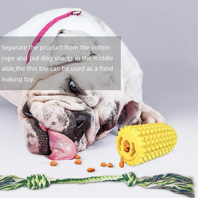 Chewing Corn Cob