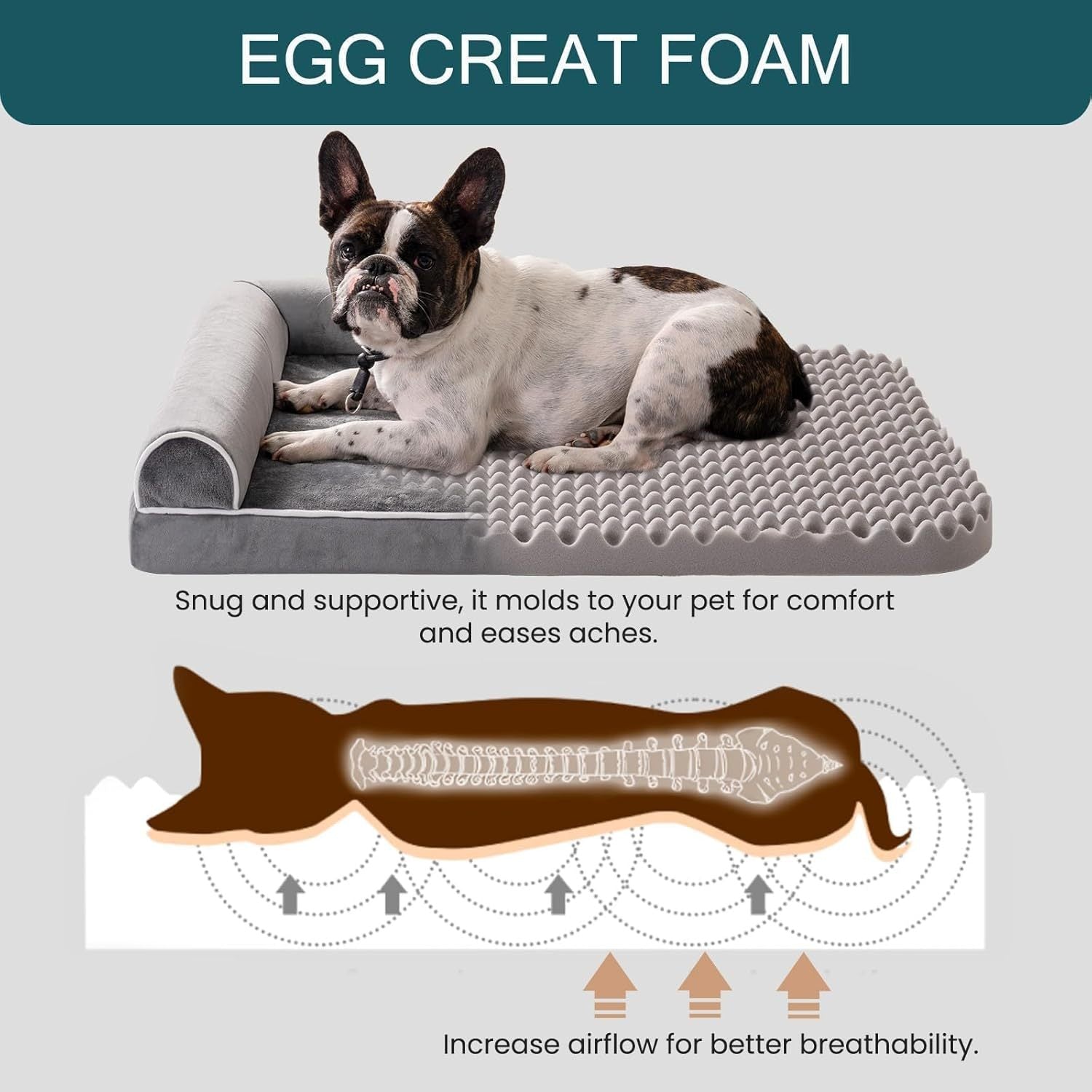EggFoam Haven – Orthopedic Bed
