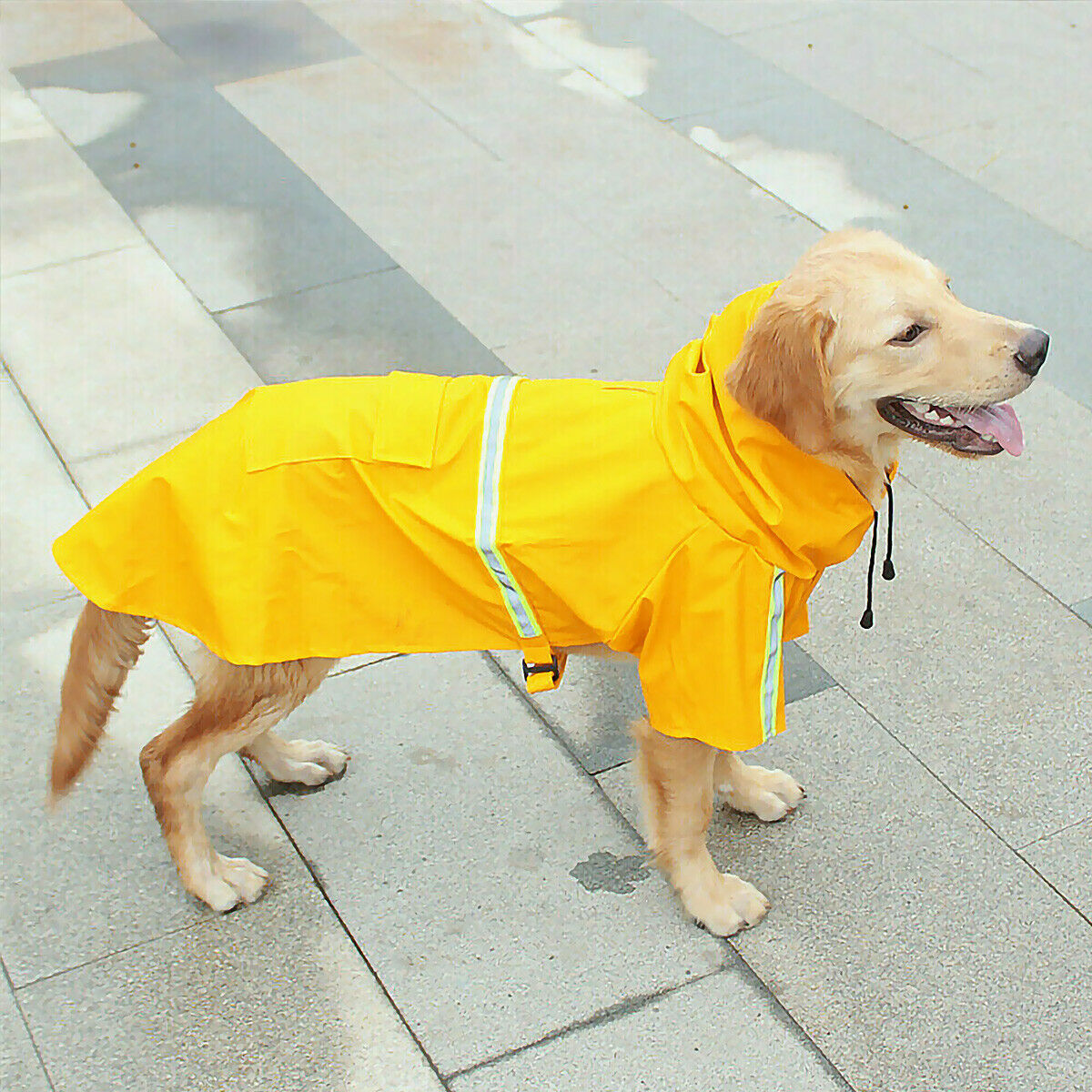 RainPup – Waterproof Coat for Wet Walks